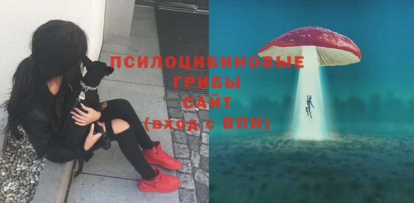 дмт Аркадак